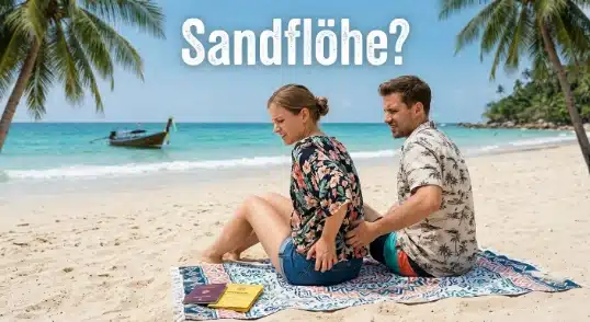 Sandflöhe im Sand von Thailand sind sehr unangenehm und juckend
