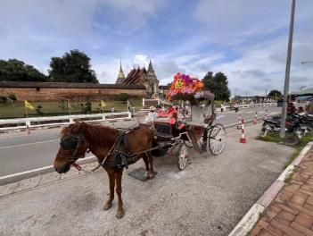 Lampang und seine traditionellen Pferdekutschen