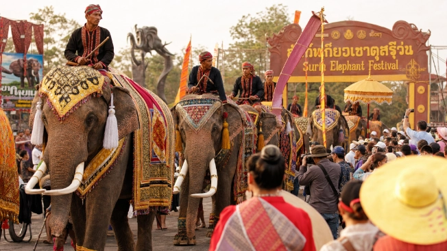Thailand Elefantenfest in Surin